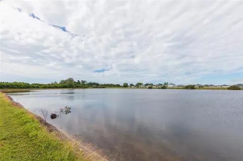 View/Area - 11933 Downy Birch Dr, Riverview, FL 33569 photo 2 of 4