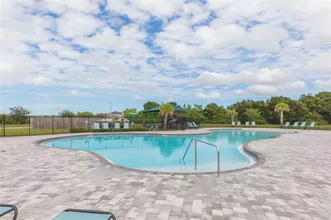 Exterior - 11933 Downy Birch Dr, Riverview, FL 33569 photo 10 of 10
