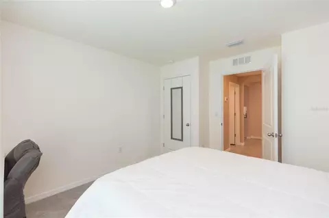 Bedroom - 11933 Downy Birch Dr, Riverview, FL 33569 photo 8 of 8