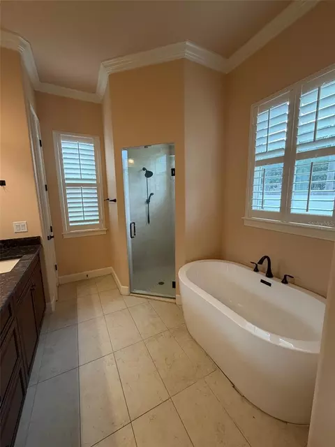 Bath - 9650 Milano Dr, New Port Richey, FL 34655 photo 5 of 11