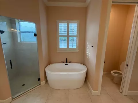 Bath - 9650 Milano Dr, New Port Richey, FL 34655 photo 10 of 11