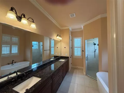 Bath - 9650 Milano Dr, New Port Richey, FL 34655 photo 9 of 11