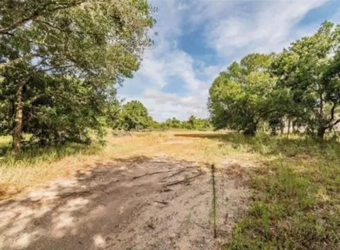 2923 Timberlee Rd, Wimauma, FL 33598 photo 14