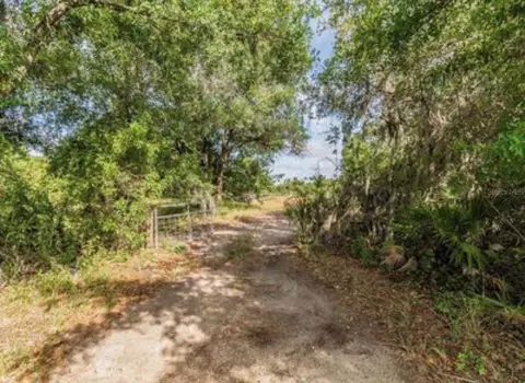 2923 Timberlee Rd, Wimauma, FL 33598 photo 8