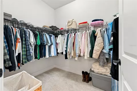 Other - 11854 Mile Marsh Dr, Riverview, FL 33569 photo 4 of 6