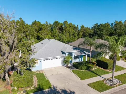View/Area - 1127 Rolling Stone Run, Odessa, FL 33556 photo 8 of 8