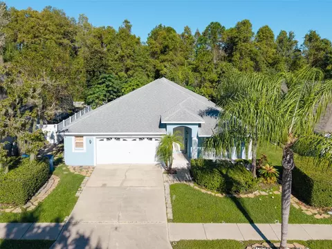 View/Area - 1127 Rolling Stone Run, Odessa, FL 33556 photo 2 of 8
