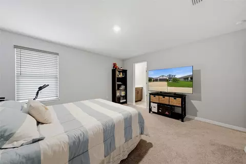 Bedroom - 11727 Tetrafin Dr, Riverview, FL 33579 photo 4 of 7