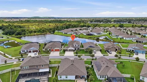 View/Area - 11727 Tetrafin Dr, Riverview, FL 33579 photo 4 of 7