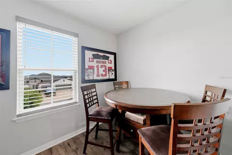 Other - 11727 Tetrafin Dr, Riverview, FL 33579 photo 6 of 16