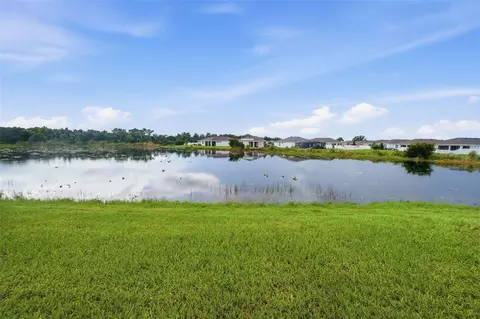 View/Area - 11727 Tetrafin Dr, Riverview, FL 33579 photo 2 of 7