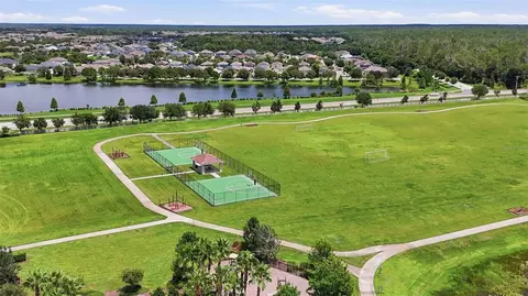 View/Area - 11727 Tetrafin Dr, Riverview, FL 33579 photo 7 of 7