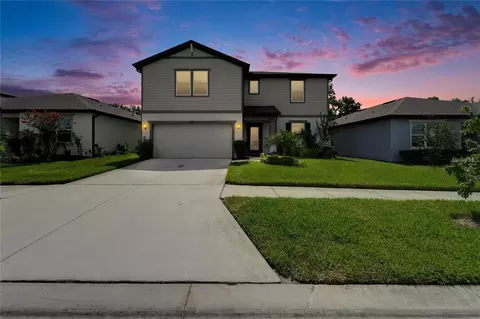 Exterior - 6658 Devlin Ln, Wesley Chapel, FL 33545 photo 10 of 11