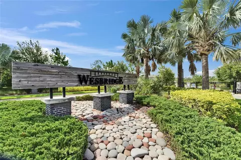 View/Area - 6658 Devlin Ln, Wesley Chapel, FL 33545 photo 1 of 11