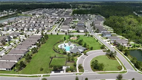 View/Area - 6658 Devlin Ln, Wesley Chapel, FL 33545 photo 8 of 11