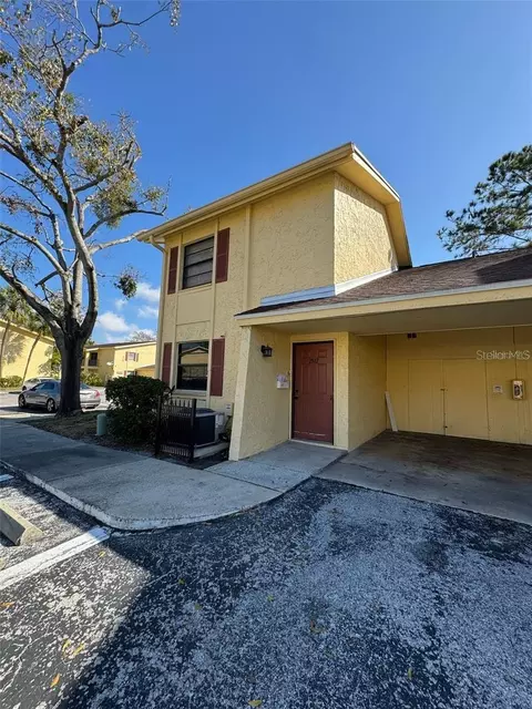 7517 Camarina Calle, Tampa, FL 33615