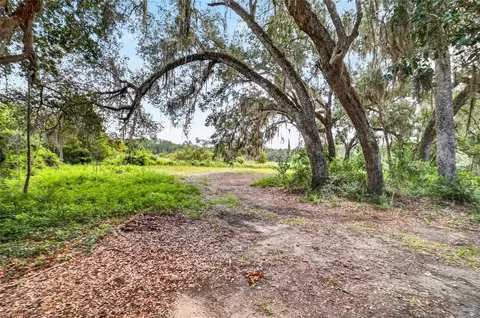 5686 E Highway 316, Citra, FL 32113 photo 3