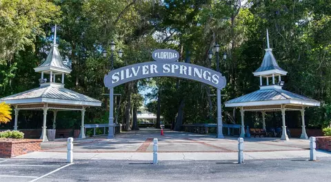 5686 E Highway 316, Citra, FL 32113 photo 39
