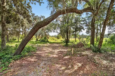5686 E Highway 316, Citra, FL 32113 photo 23
