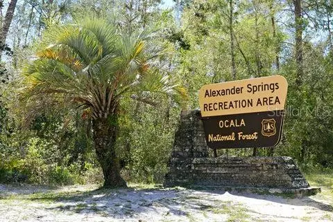 5686 E Highway 316, Citra, FL 32113 photo 32