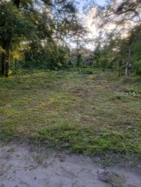 10145 Lorell St, New Port Richey, FL 34654