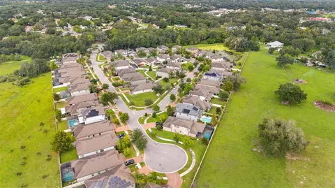 View/Area - 10438 Arbor Groves Pl, Riverview, FL 33578 photo 12 of 13