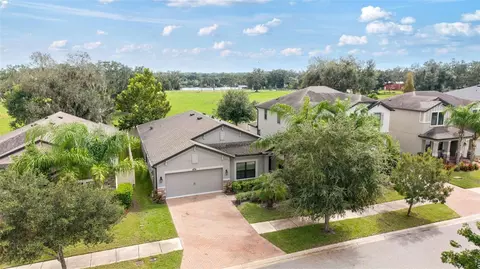 View/Area - 10438 Arbor Groves Pl, Riverview, FL 33578 photo 6 of 13