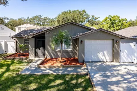 3105 Sandspur Dr, Tampa, FL 33618