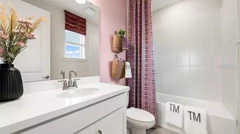 Bath - 13514 Rowhouse Ct, Parrish, FL 34219 photo 3 of 3