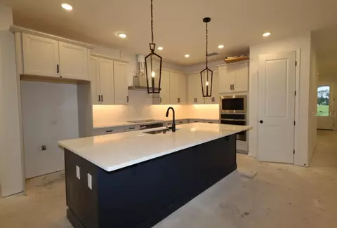 Kitchen - 5446 Knotty Oak St, Mount Dora, FL 32757 photo 1 of 3