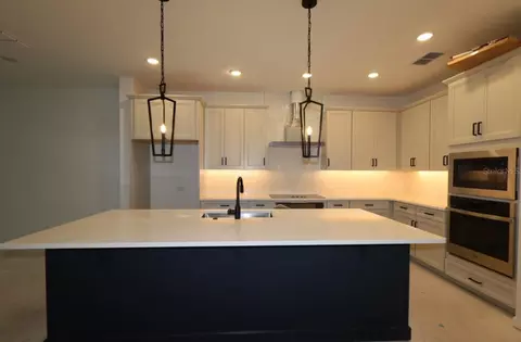 Kitchen - 5446 Knotty Oak St, Mount Dora, FL 32757 photo 2 of 3