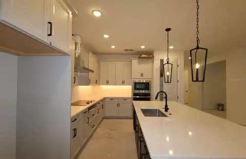 Kitchen - 5446 Knotty Oak St, Mount Dora, FL 32757 photo 3 of 3