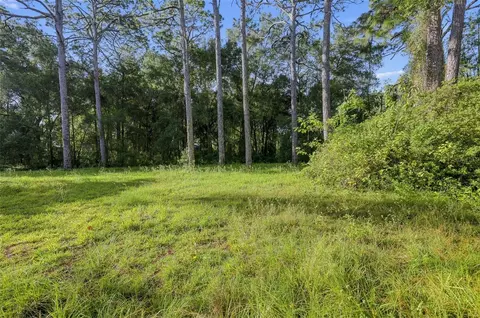 18322 Havenwoods Rd, Spring Hill, FL 34610 photo 8