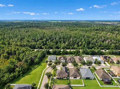 View/Area - 12130 Streambed Dr, Riverview, FL 33579 photo 7 of 15