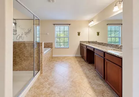 Bath - 12130 Streambed Dr, Riverview, FL 33579 photo 5 of 6