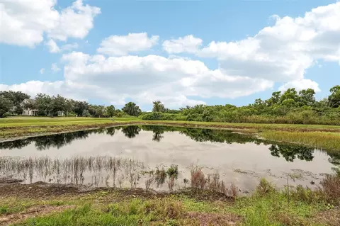 View/Area - 18115 Howling Wolf Run, Parrish, FL 34219 photo 2 of 17