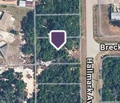 228 Hallmark Ave, Lake Placid, FL 33852