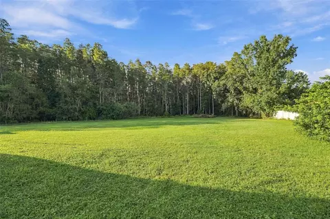 Exterior - 19153 Geraci Rd, Lutz, FL 33558 photo 16 of 18