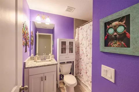 Bath - 10826 Quickwater Ct, Riverview, FL 33569 photo 3 of 3