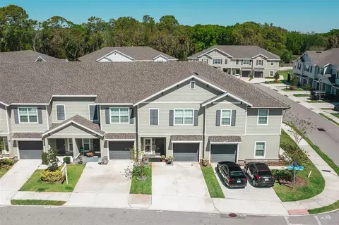 View/Area - 10826 Quickwater Ct, Riverview, FL 33569 photo 1 of 5