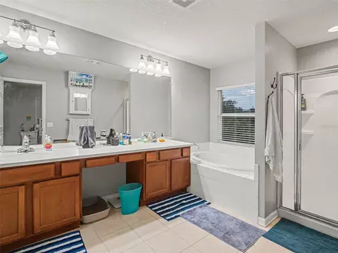 Bath - 10007 58th St E, Parrish, FL 34219 photo 1 of 4