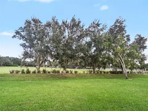 Exterior - 10007 58th St E, Parrish, FL 34219 photo 8 of 8