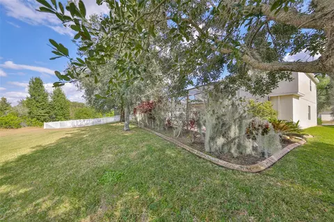 Exterior - 13914 Chalk Hill Pl, Riverview, FL 33579 photo 10 of 13