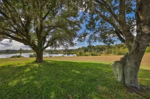 Exterior - 13914 Chalk Hill Pl, Riverview, FL 33579 photo 8 of 13