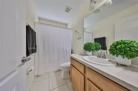 Bath - 13914 Chalk Hill Pl, Riverview, FL 33579 photo 4 of 4
