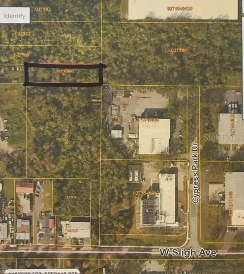 Banjamin, Tampa, FL 33634