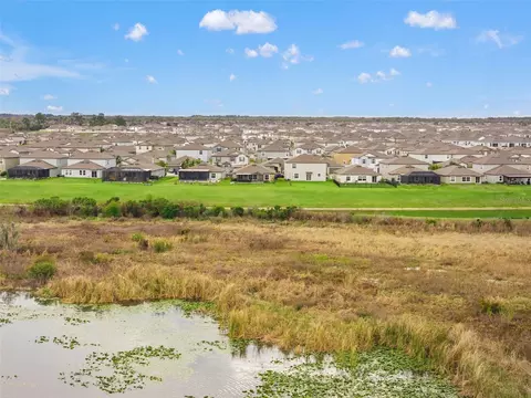 View/Area - 31713 Sun Kettle Loop, Wesley Chapel, FL 33545 photo 6 of 9
