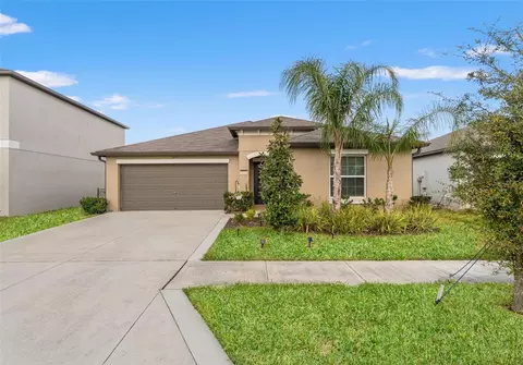 Exterior - 31713 Sun Kettle Loop, Wesley Chapel, FL 33545 photo 9 of 16