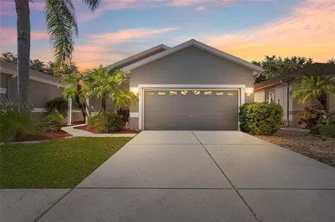 8103 Sanguinelli Rd, Land O Lakes, FL 34637
