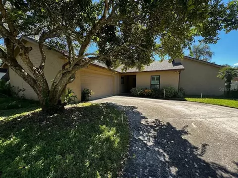 4506 Old Saybrook Ave, Tampa, FL 33624